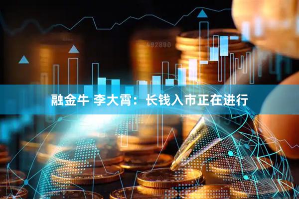 融金牛 李大霄：长钱入市正在进行
