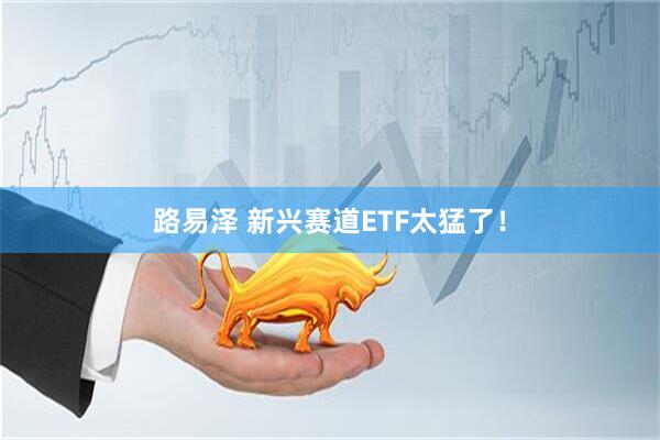 路易泽 新兴赛道ETF太猛了！