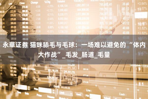 永華证券 猫咪舔毛与毛球：一场难以避免的 “体内大作战”_毛发_肠道_毛量
