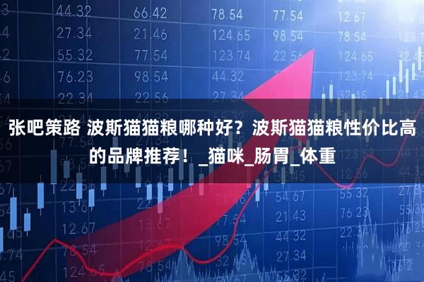 张吧策路 波斯猫猫粮哪种好？波斯猫猫粮性价比高的品牌推荐！_猫咪_肠胃_体重