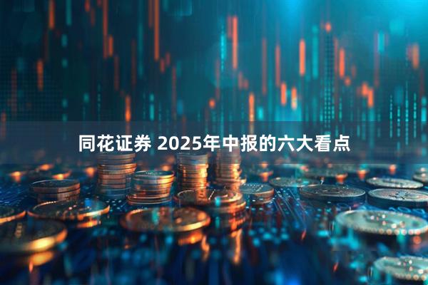 同花证券 2025年中报的六大看点