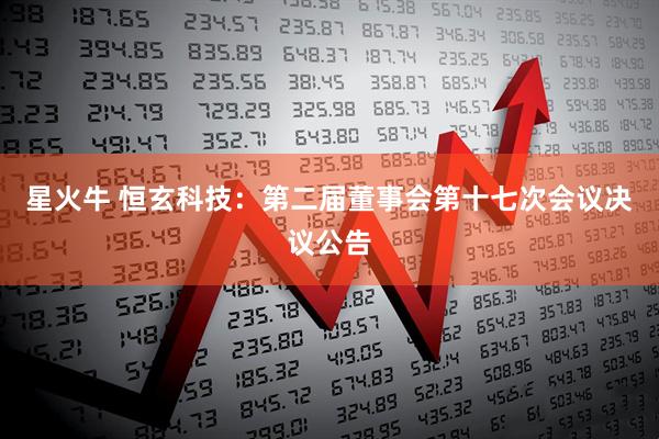 星火牛 恒玄科技：第二届董事会第十七次会议决议公告